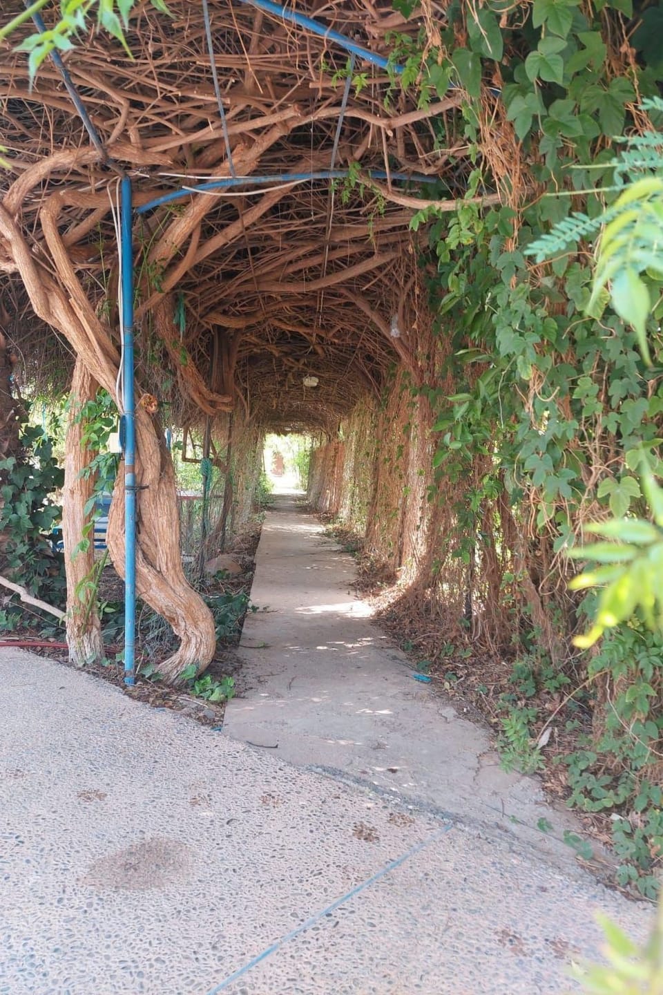 Property grounds