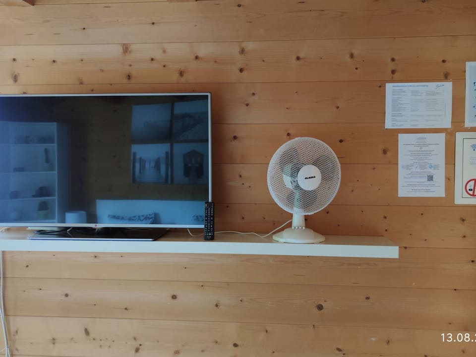 Television