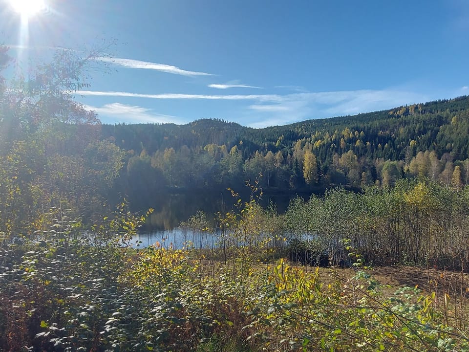 View