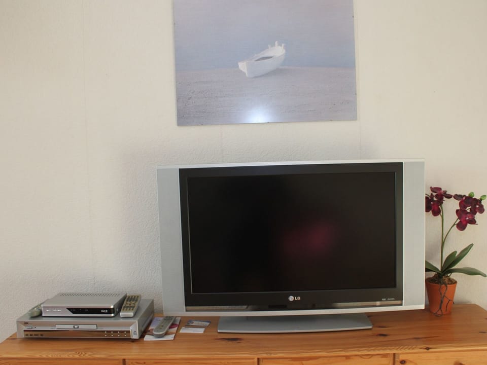 Television