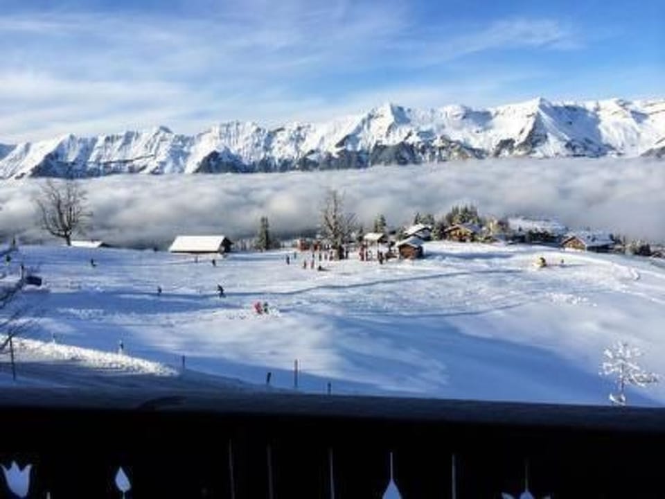 Snow and ski sports