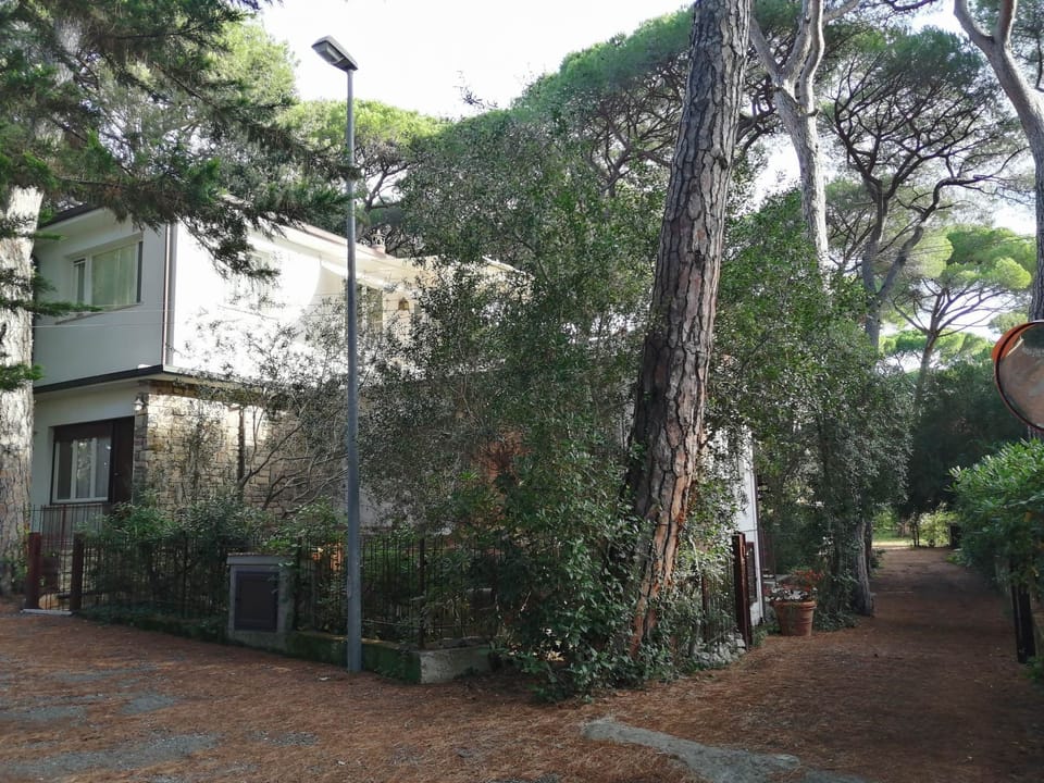 Inside other
