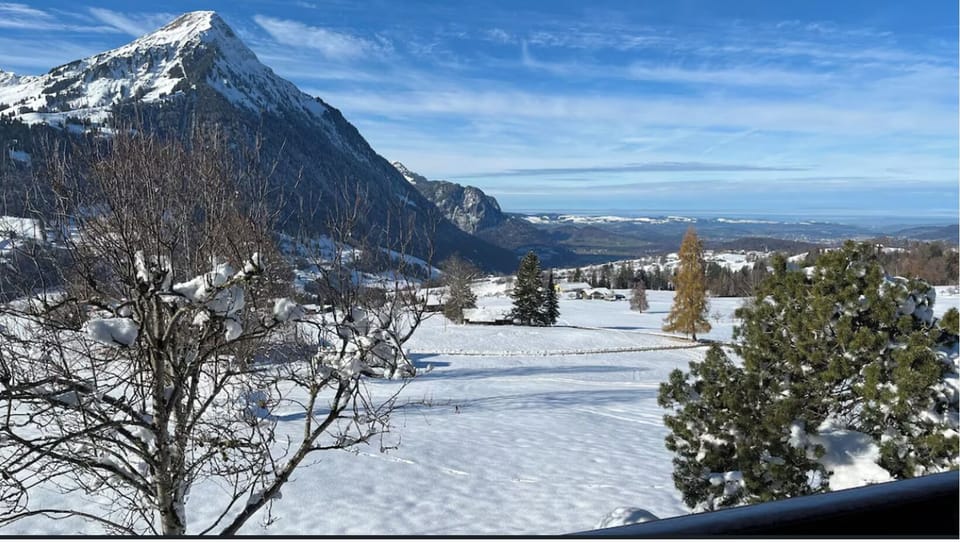 View from property