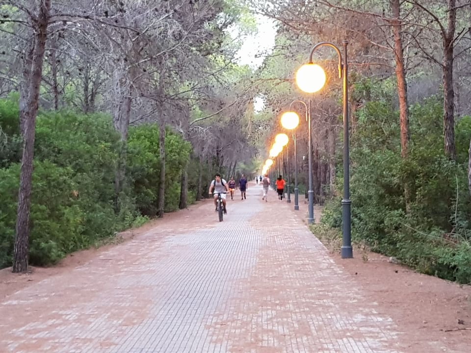 Inside other