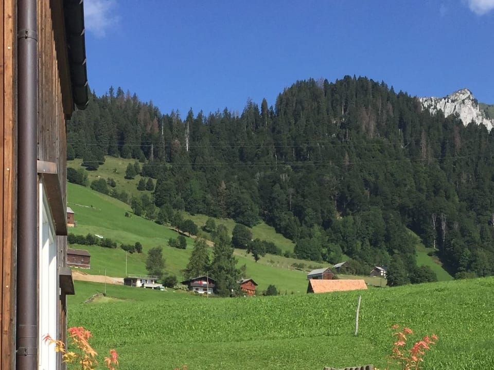 View from property