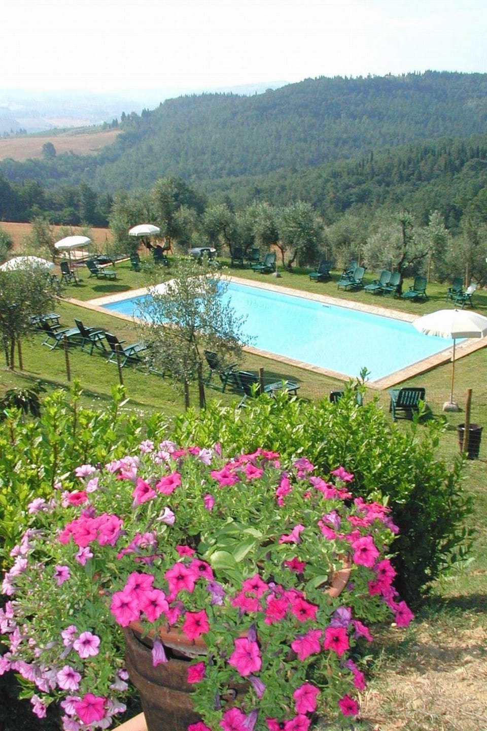 Pool Outdoor