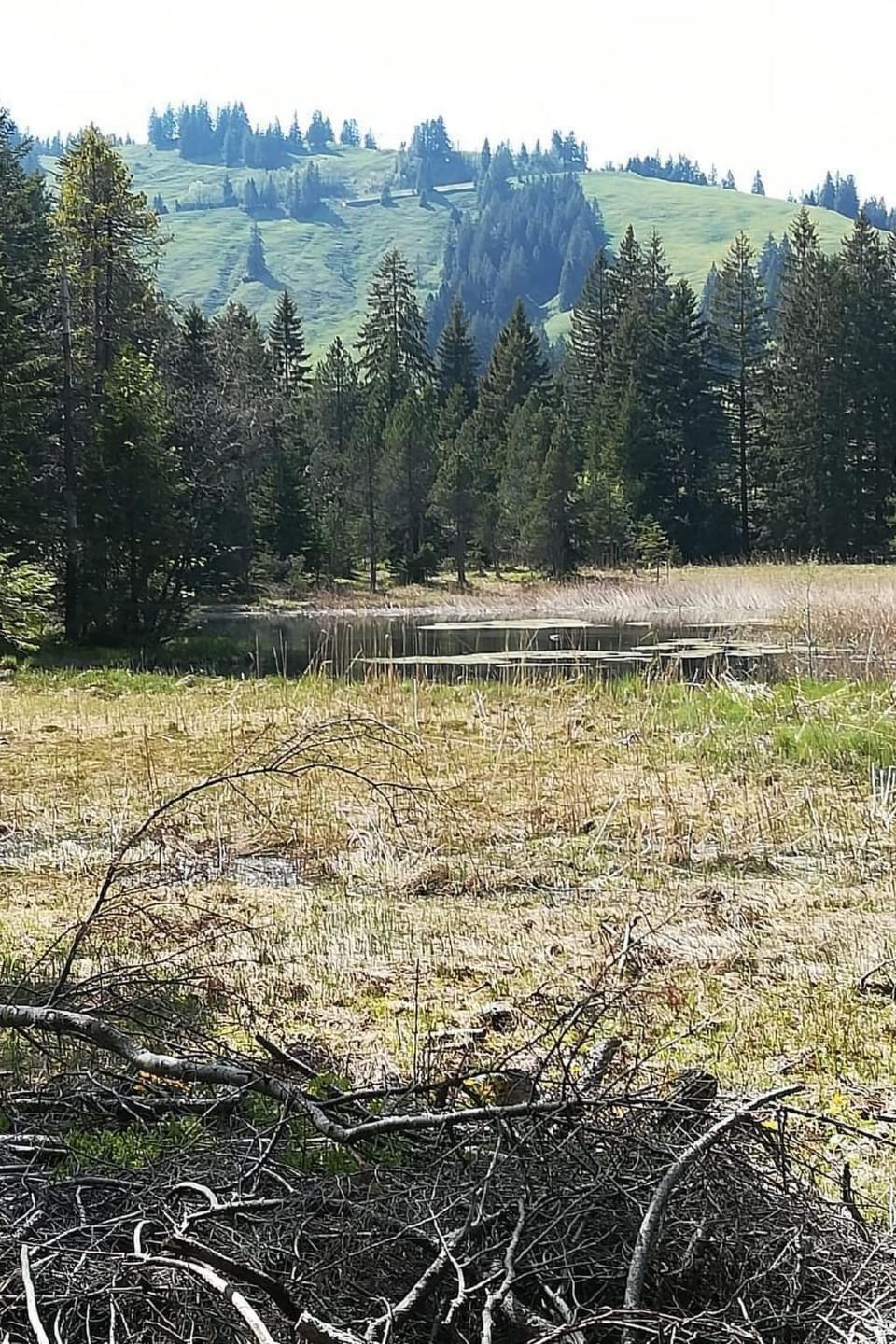 View
