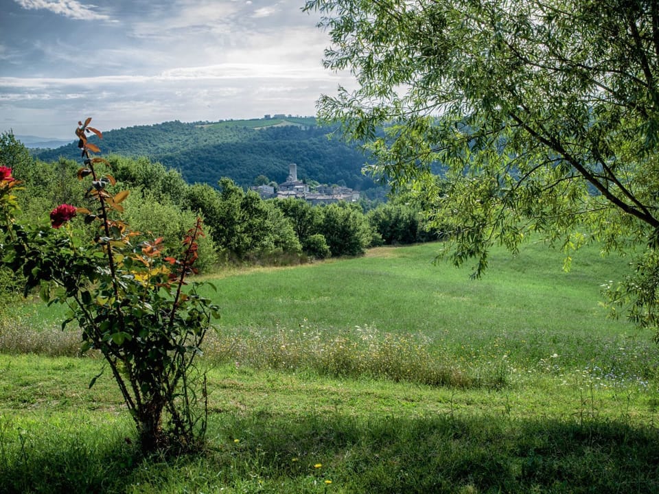View