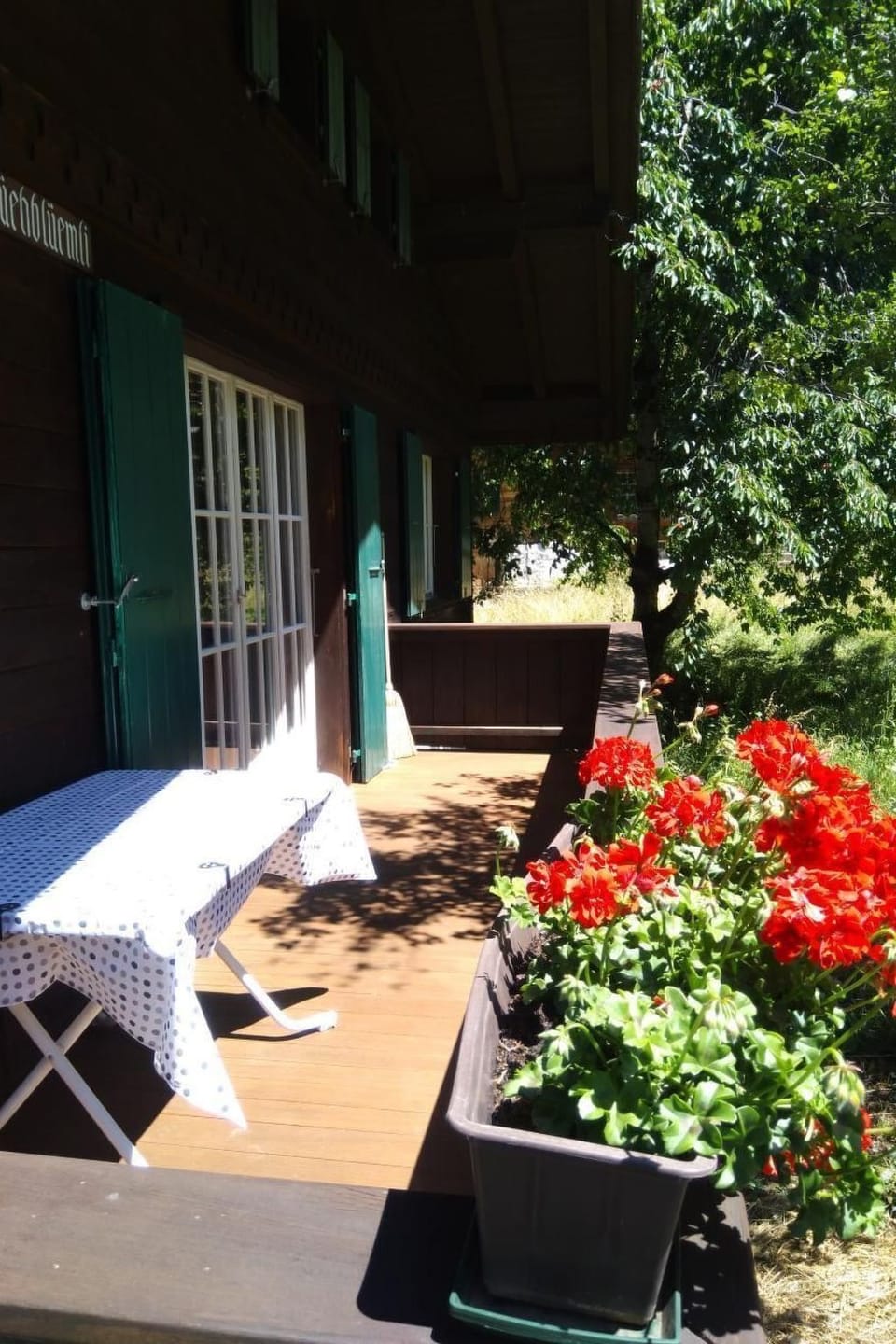 Terrace