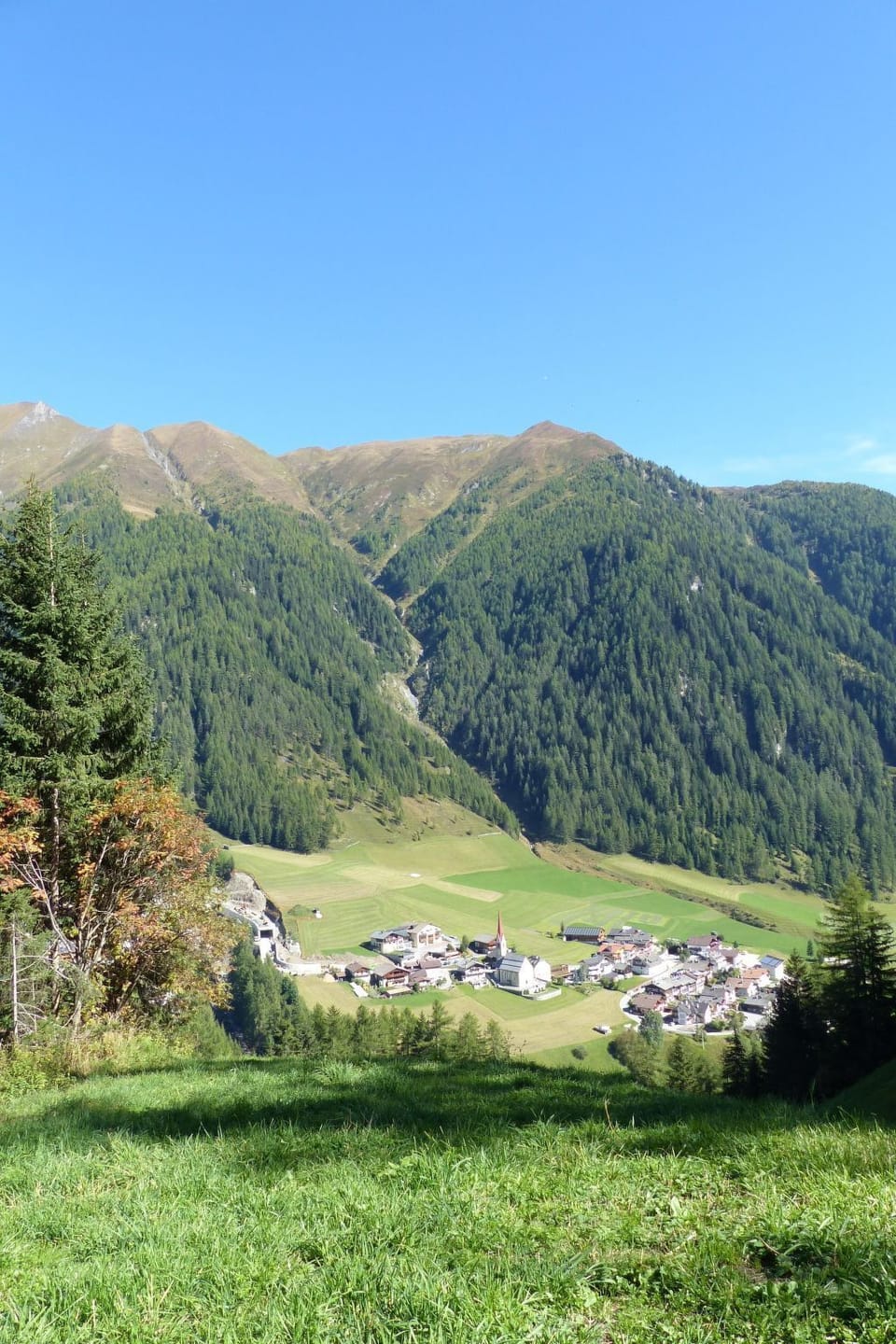 View