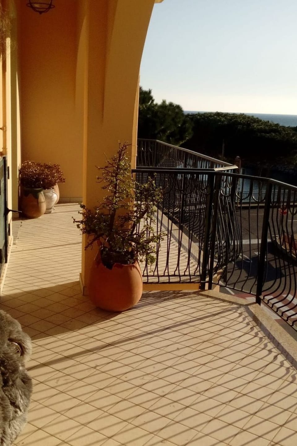 Terrace