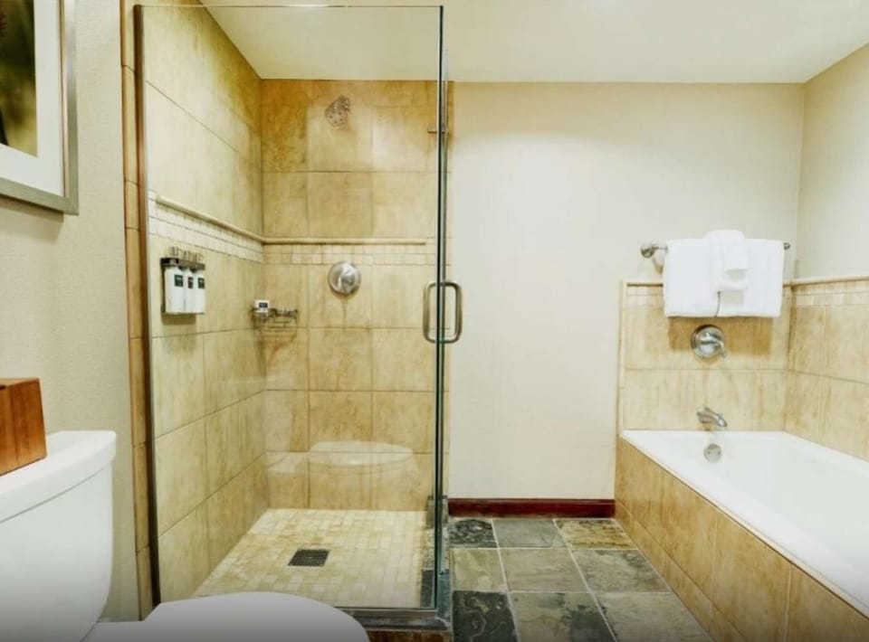 Private Bathroom with Shower and Bathtub