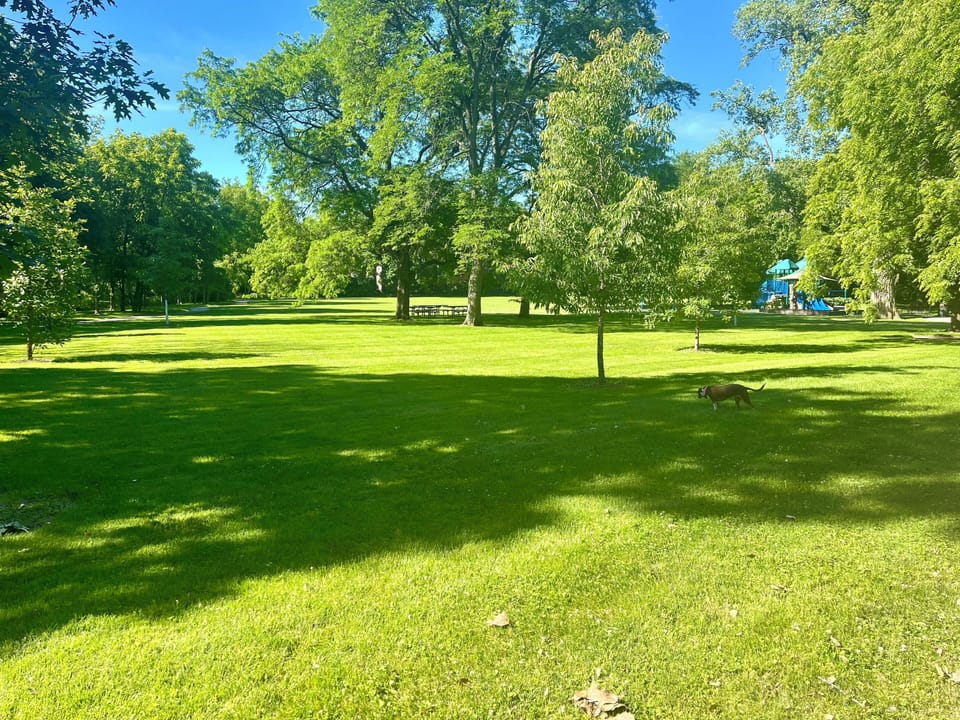 Property grounds