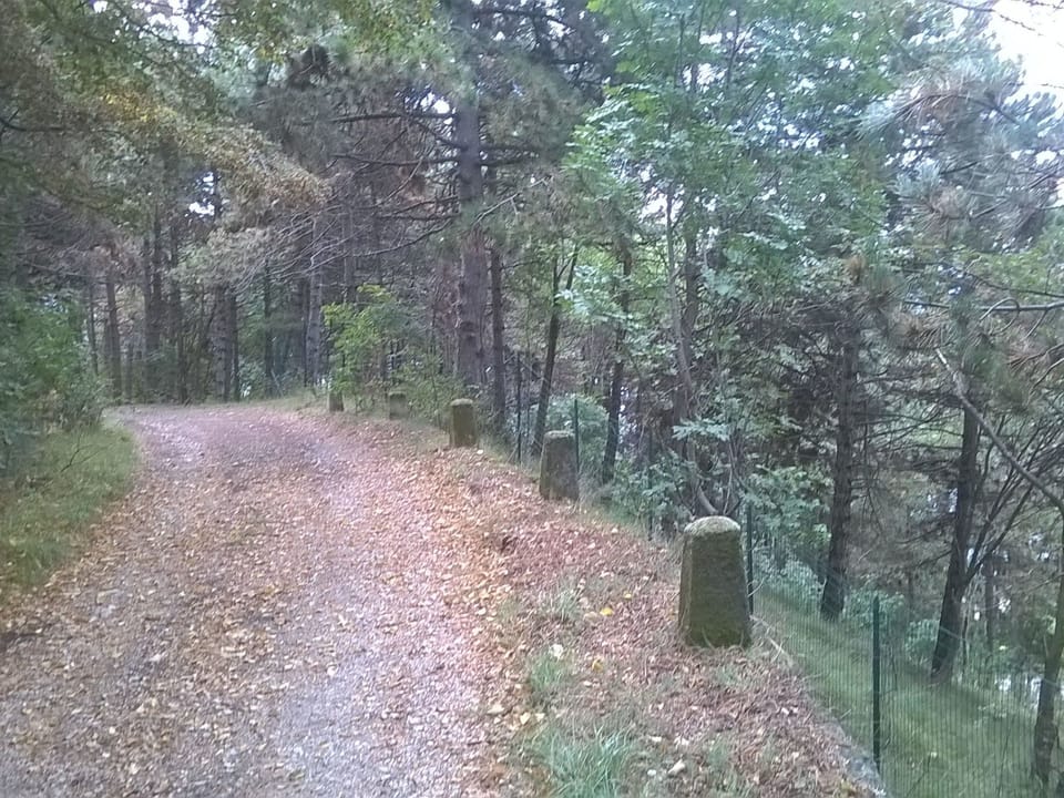 Inside other