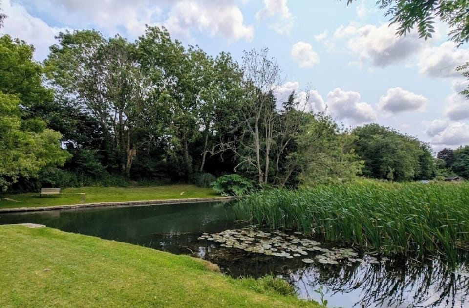 Enjoy a relaxing glass of wine next to the lake adjacent to the apartment