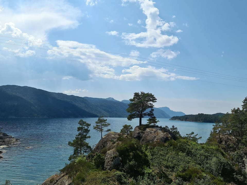 View