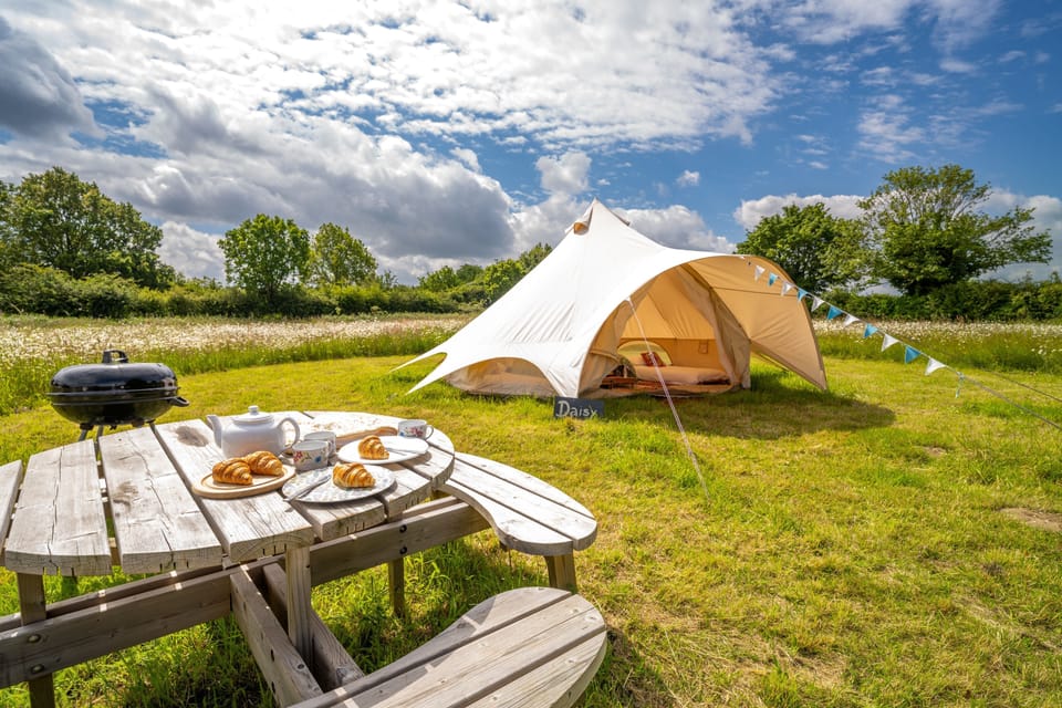 Blanca's Bell Tents set in wild flower meadows minutes from the North Norfolk beaches