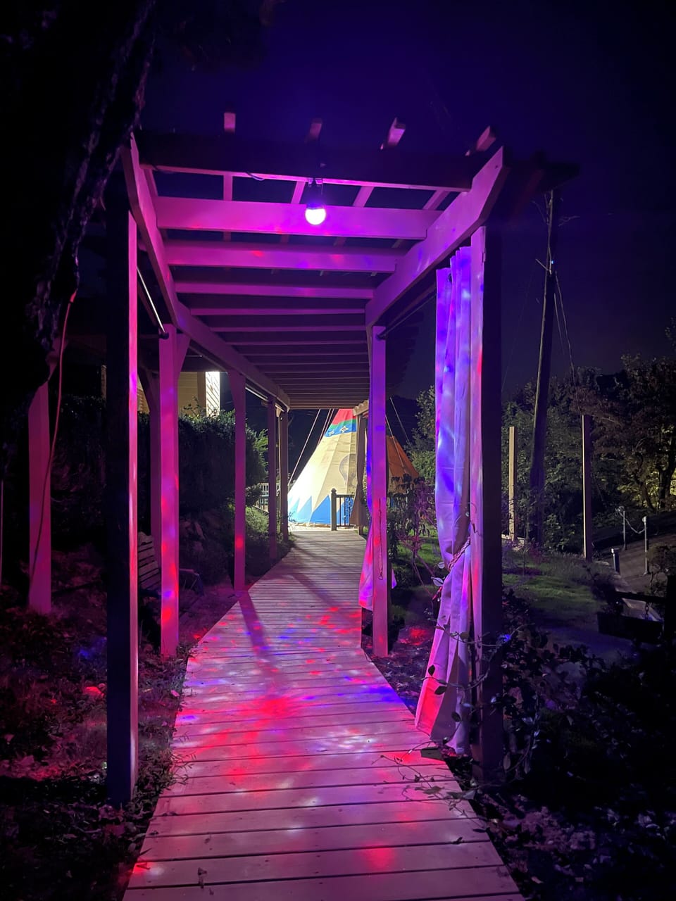 Magical night entryway through the private Arbor to your Tipi!