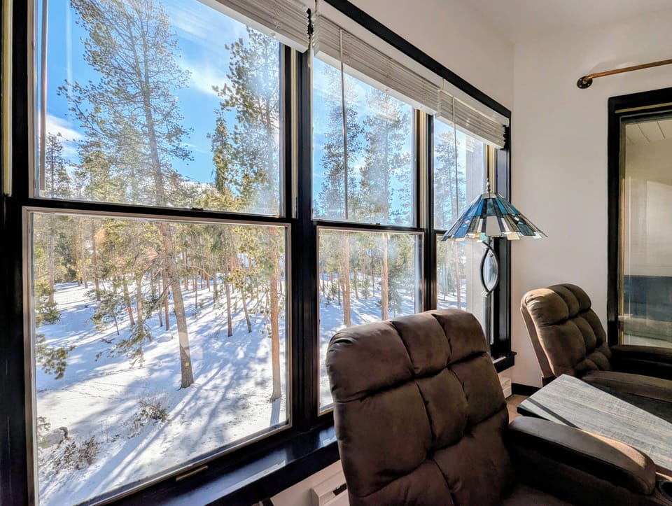 View from the living room #winter