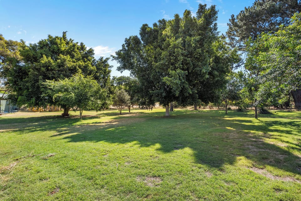 Plenty of space for lawn games and fun with friends and family!