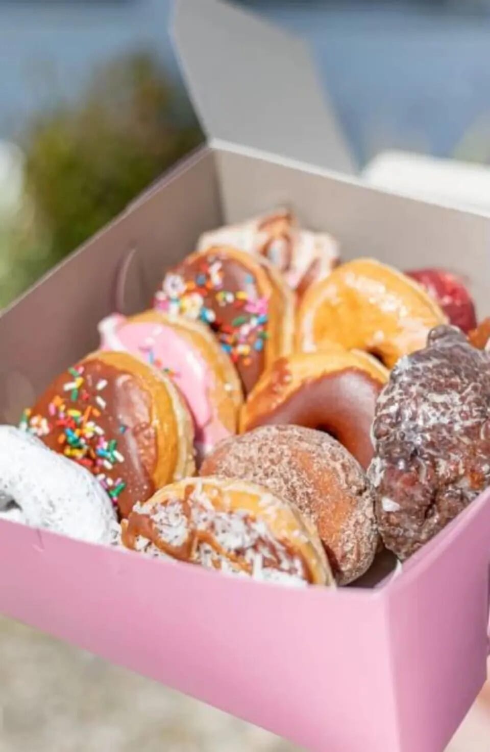 Thomas Donuts & Coffee - Located 1 Block from Rental