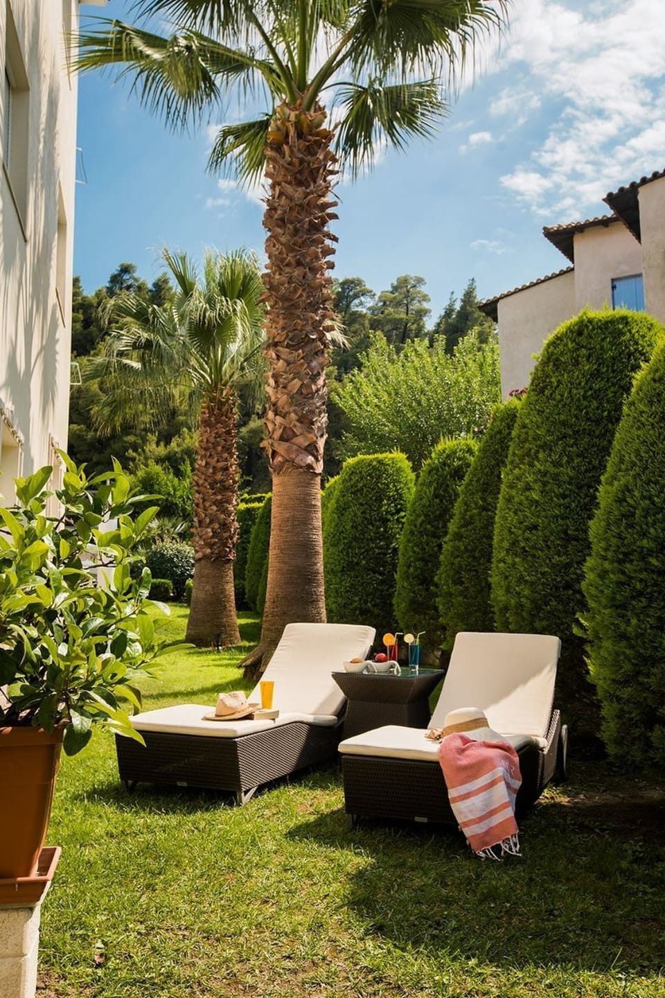 Terrace
