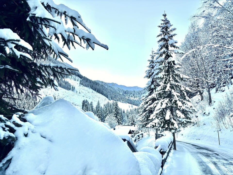 Wood, Trunk, Winter, Twig, Outdoor Furniture, Freezing, Woodland, Snow, Backyard