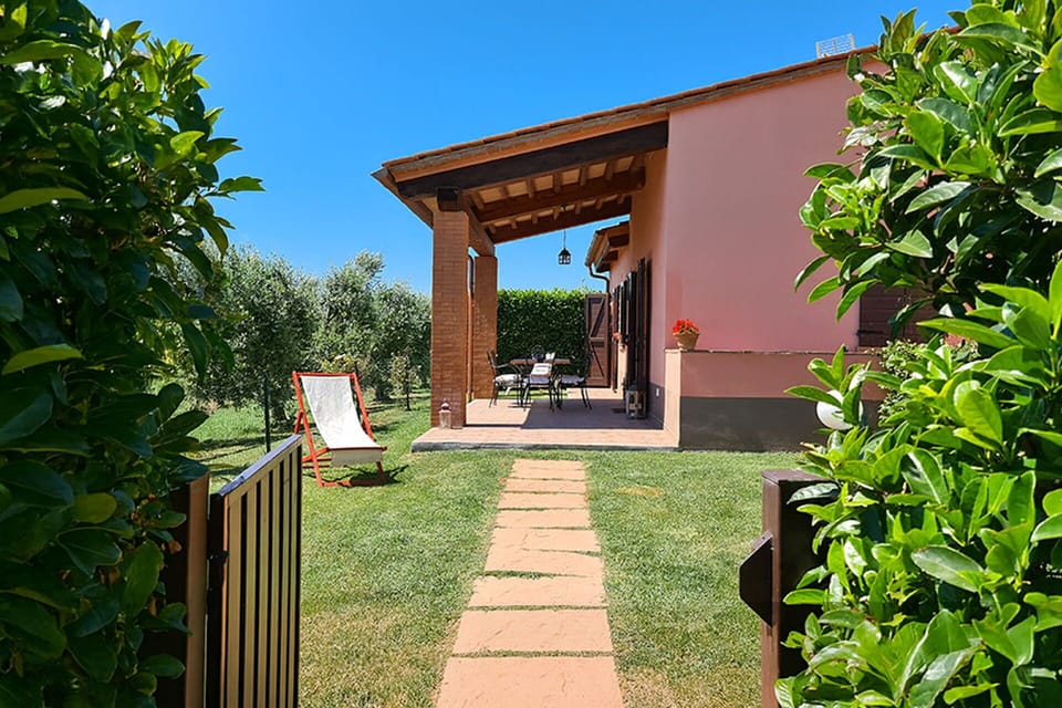 Garden, Shade, Lawn, Backyard, Yard, Outdoor Structure, Landscaping, Eco Hotel, Wood Stain, Estate