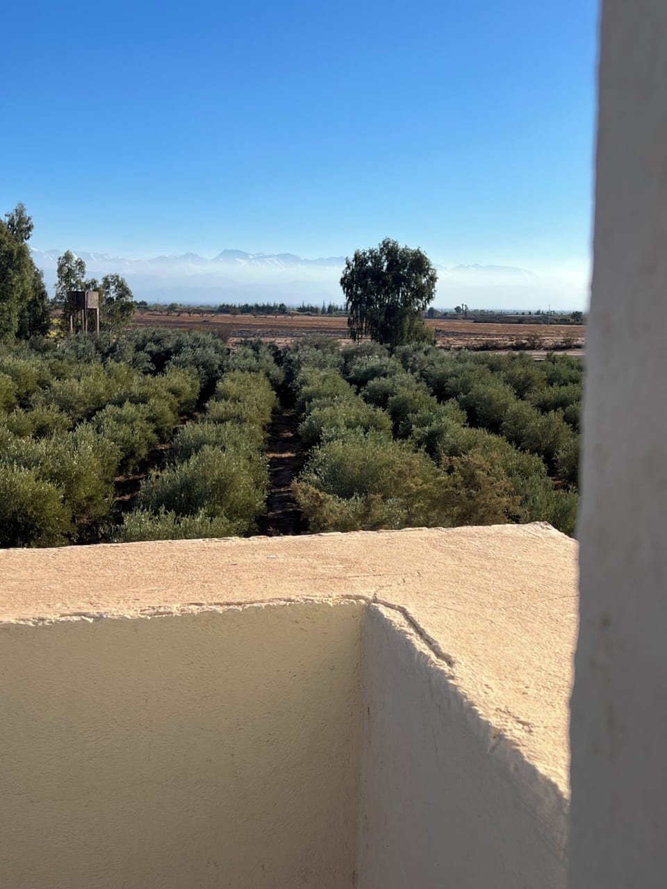 View from property