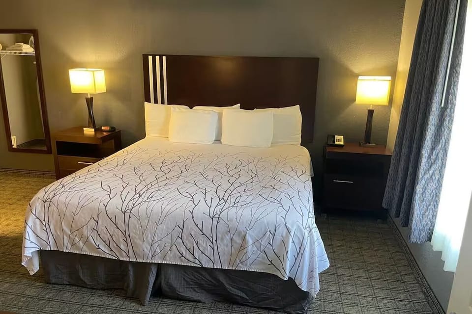 Relax into a plush king bed under warm bedside glow.