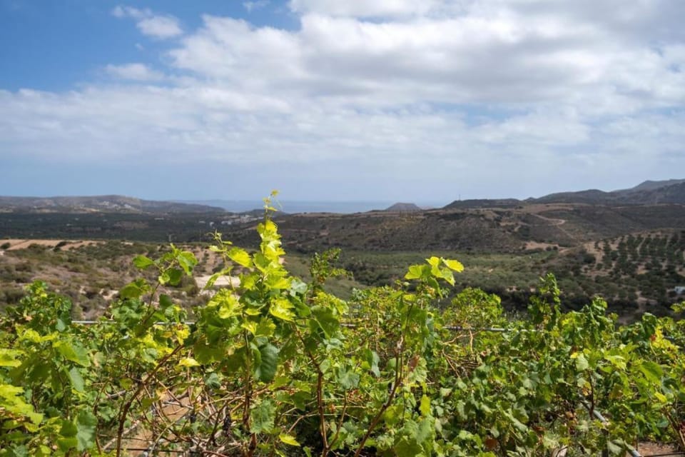 Peaceful natural surroundings and uninterrupted scenery