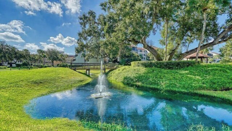 Pond