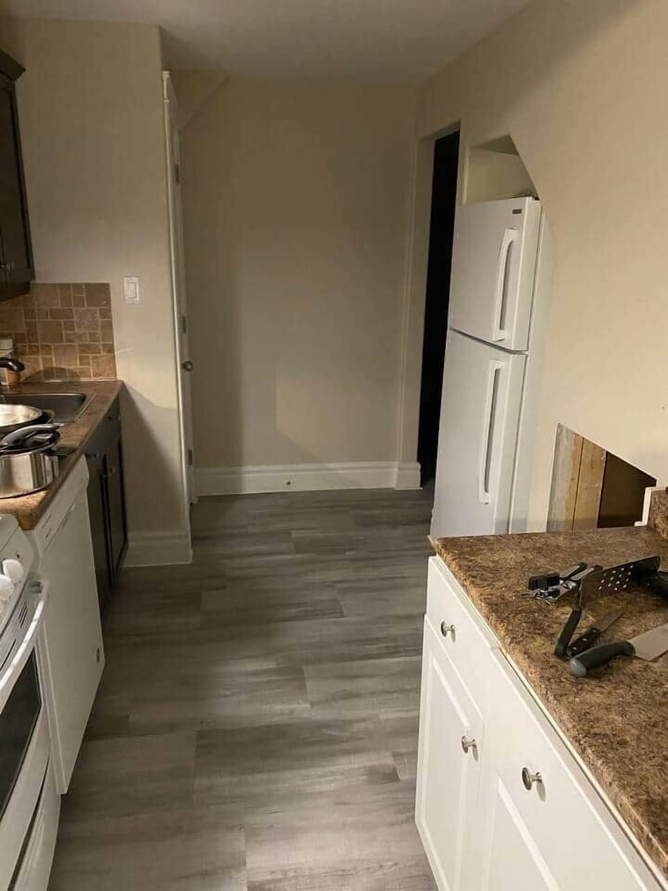 Lower level Kitchen area (Full Stove , Dishwasher and fridge.