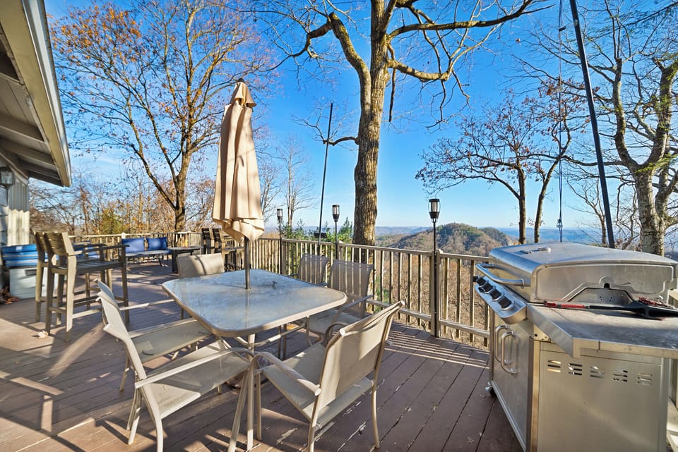 Outdoor Dining and Gas Grill