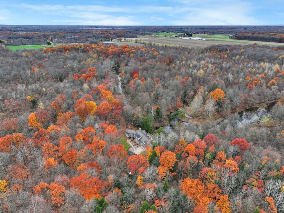 Private wooded property with creek access and total privacy