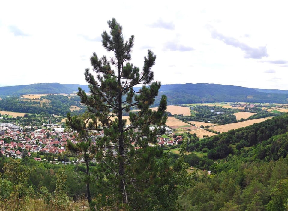 View