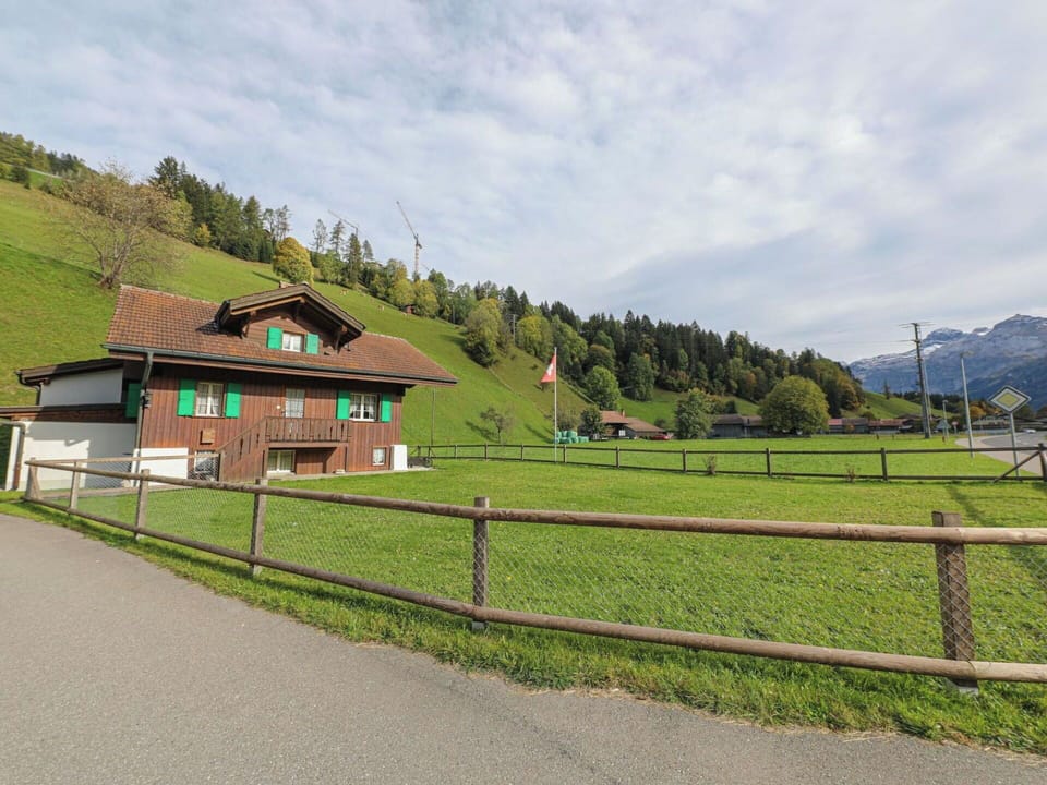 Wood, Flooring, Floor, Door, Composite Material, Wood Flooring, Deck, Hardwood, Plank, Wood Stain