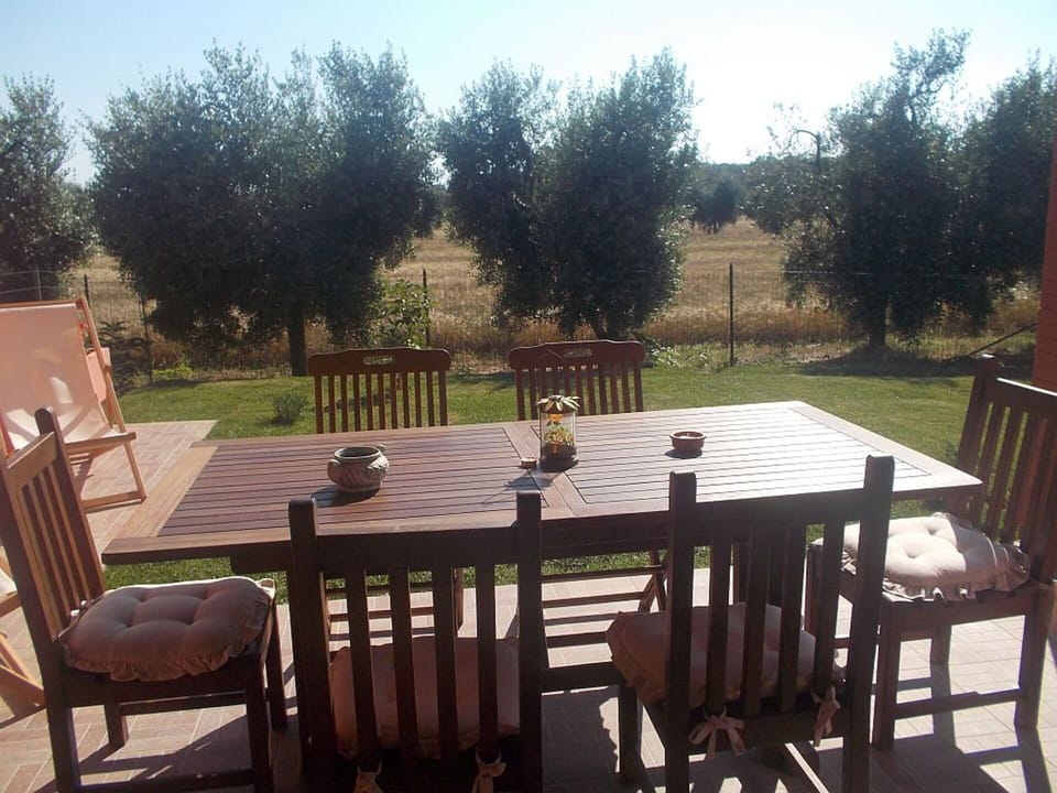 Autumn, Balcony / Terrace / Patio, Outdoor, Spring, Summer