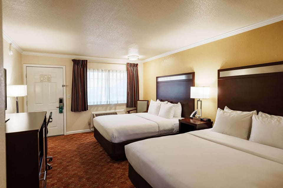 Bright room with two comfy beds and soft window curtains