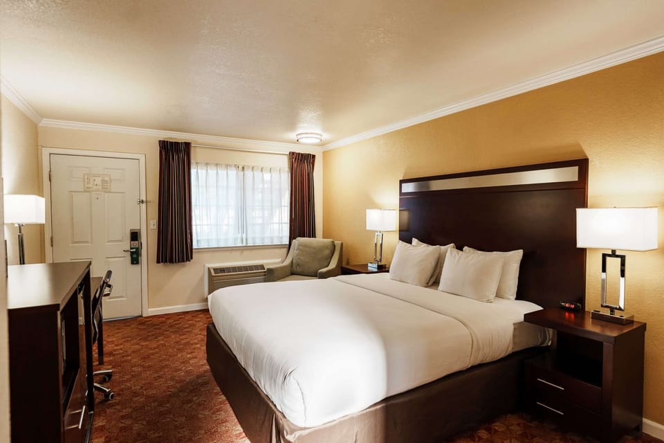 Spacious room with king bed, soft lighting, and cozy armchair