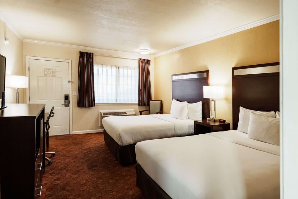 Bright room with twin beds and simple decor