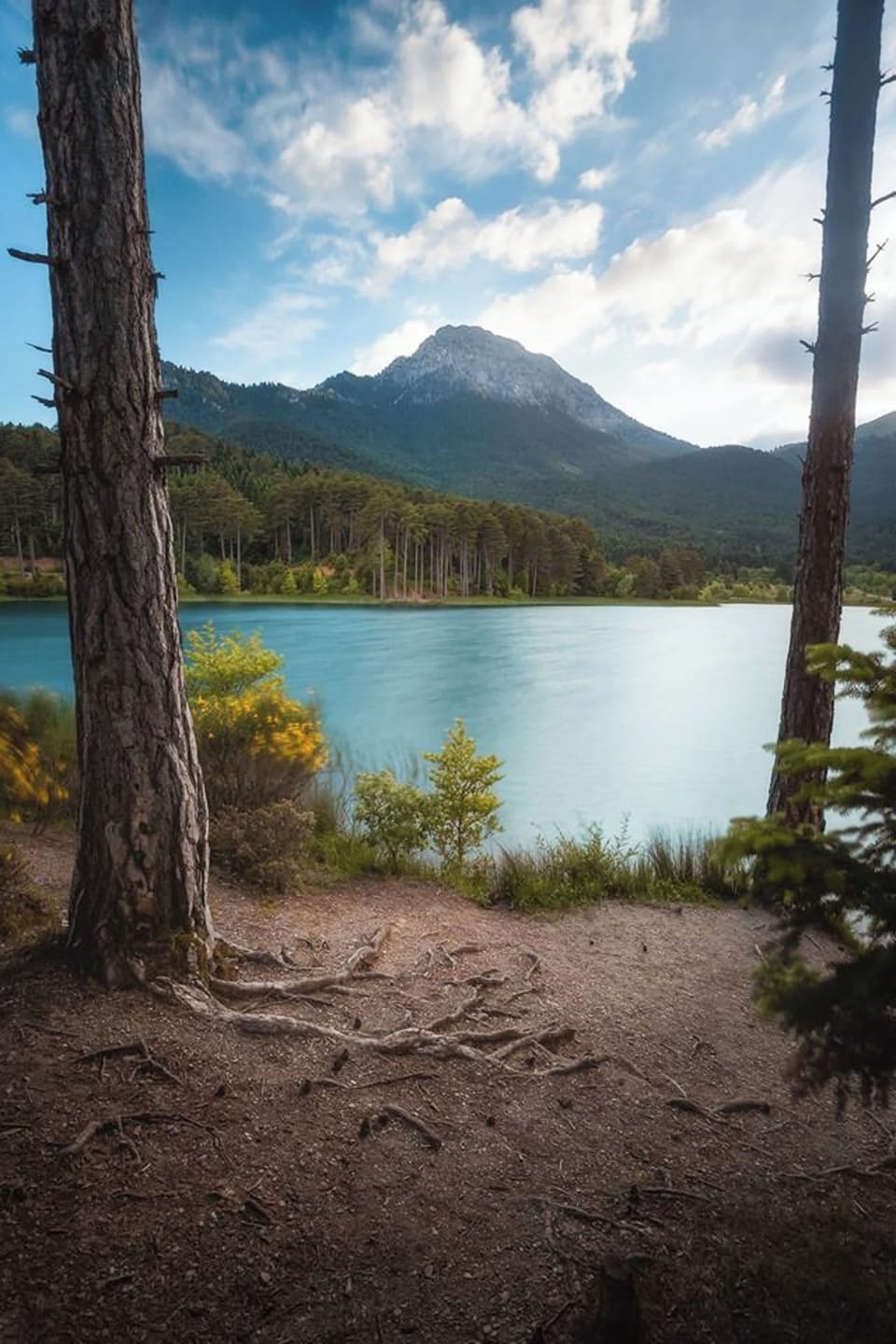 Limni Doxa — crystal-clear waters surrounded by pine forests and mountain views, just minutes from your stay.