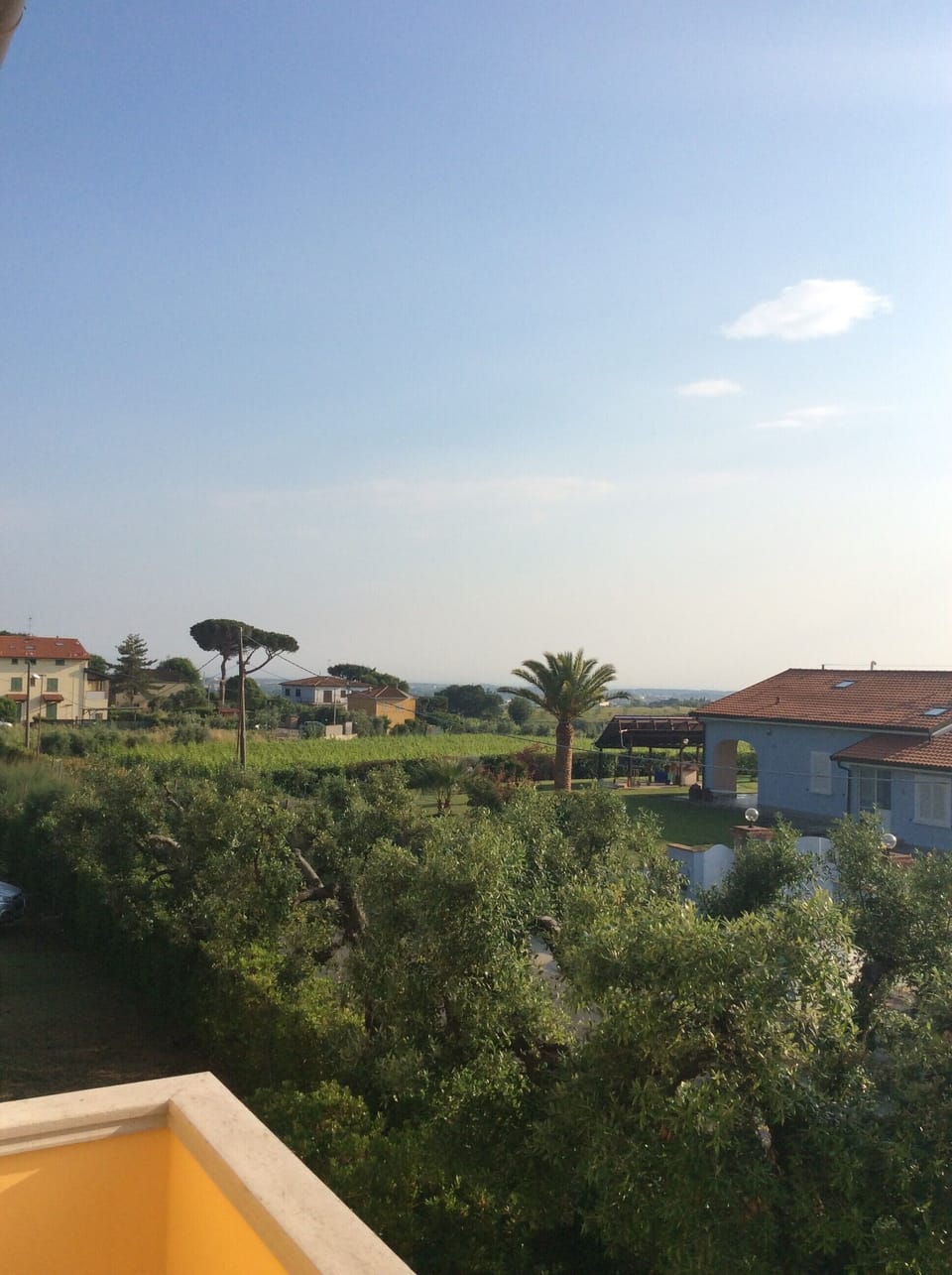 View from property