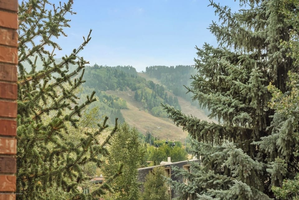 Downtown Aspen, Walk to Everything, Hiking