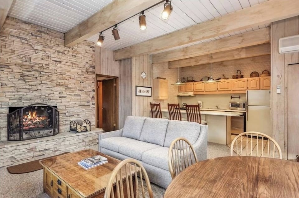 Downtown Aspen Living area - Fireplace