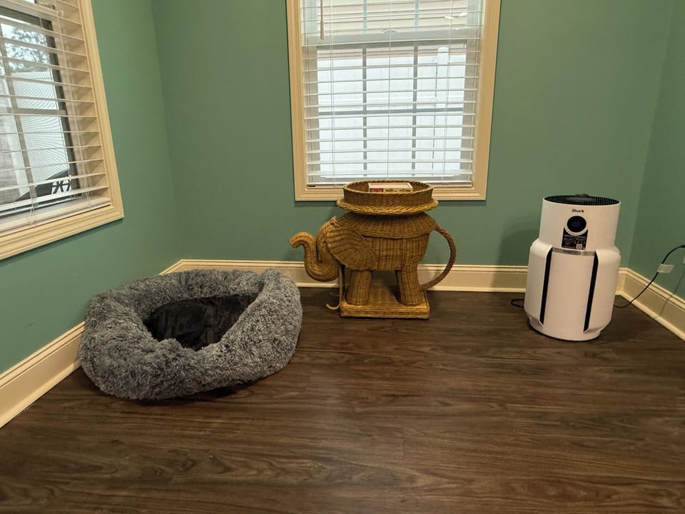 Pet bed and Shark Air Purifier