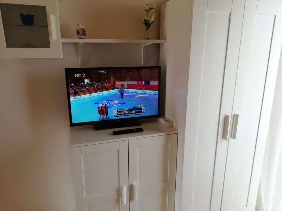 Television
