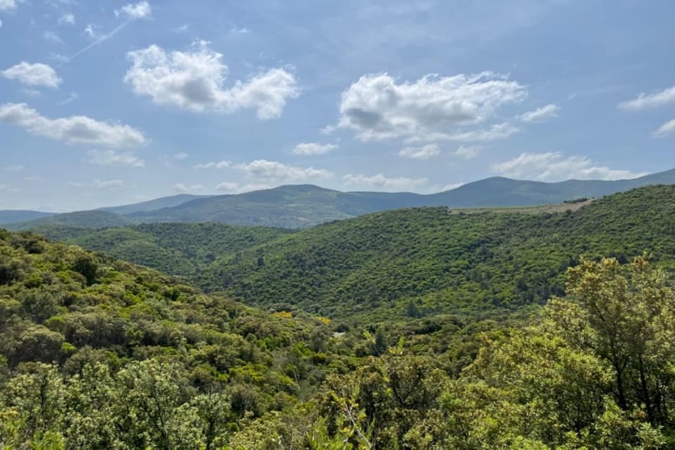 Surroundings [summer] (1-5 km)