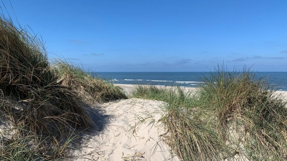 beach