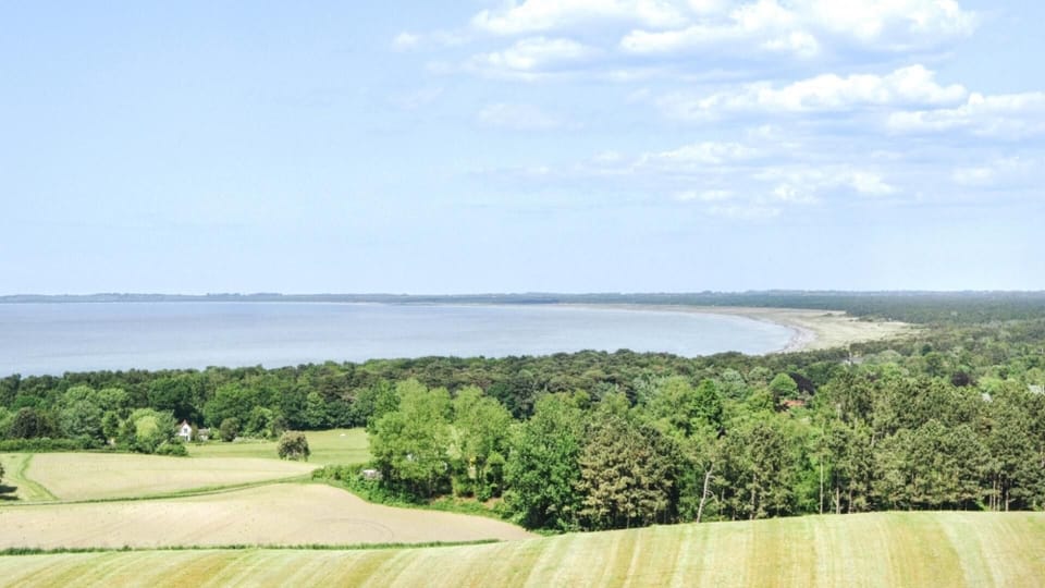 area
